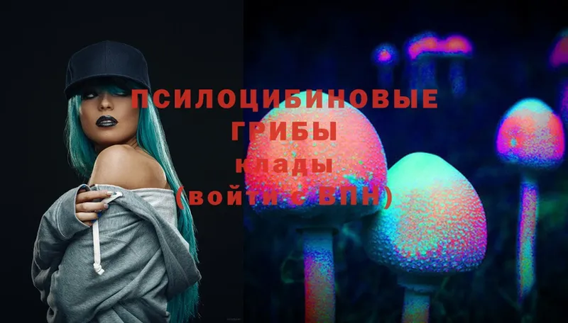 Псилоцибиновые грибы Magic Shrooms  даркнет сайт  Дмитров 